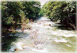 WangTakhrai3L.jpg (24859 bytes)