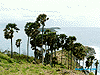 Phuket1.GIF (4715 bytes)