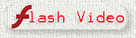 FlashVideo1.jpg (2973 bytes)