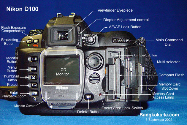 BackDetails.JPG (117279 bytes)