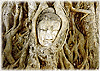 BuddhaHead1L.GIF (8230 bytes)