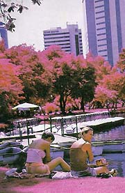 EIRInfrared6A.jpg (22978 bytes)