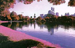 EIRInfrared7A.jpg (16786 bytes)