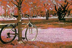 EIRInfrared8A.jpg (25670 bytes)