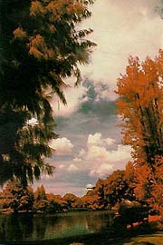 EIRInfrared9A.jpg (18987 bytes)