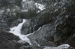 FujiMS1002B.jpg (21272 bytes)