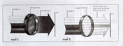 UVFilter3A.jpg (16476 bytes)