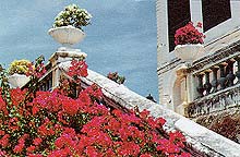 PJ400B.jpg (21987 bytes)