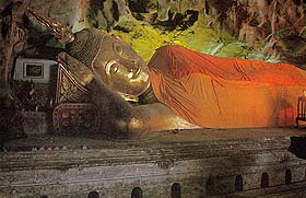 PJ400E.jpg (20242 bytes)