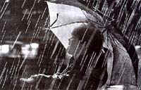 Baby09A.JPG (14885 bytes)