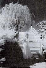 PhotoA.jpg (14702 bytes)