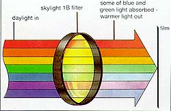 TimeForPhoto7M.jpg (16279 bytes)