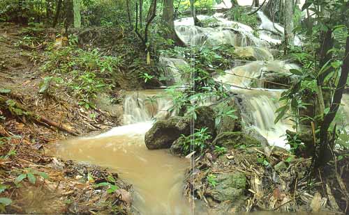 Waterfall1B.jpg (45765 bytes)