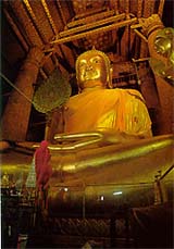 AY1A.jpg (15033 bytes)