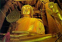 AY2B.jpg (18929 bytes)