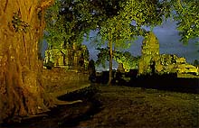 AY2C.jpg (16512 bytes)