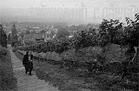 Travel41.jpg (12403 bytes)