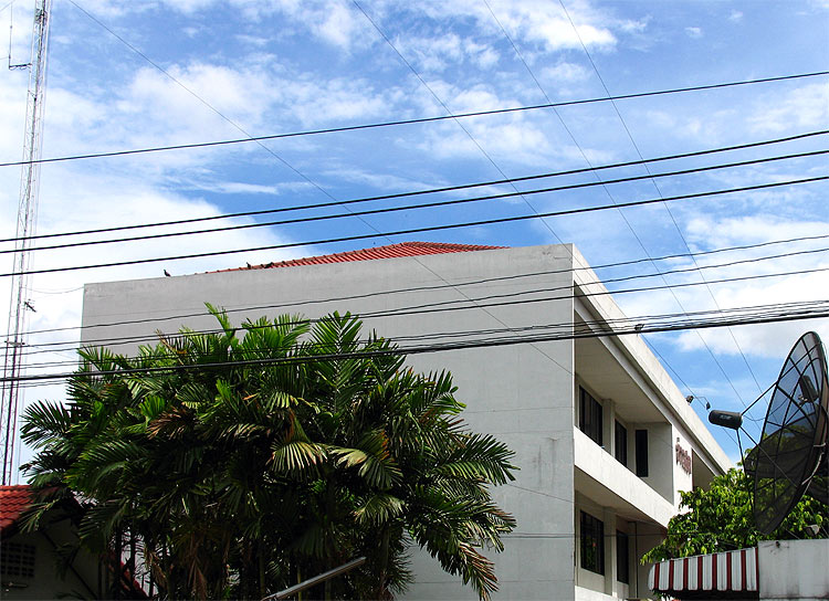 Macro103LA.jpg (129486 bytes)