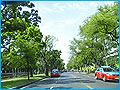 RamaVRd_120A.jpg (8078 bytes)