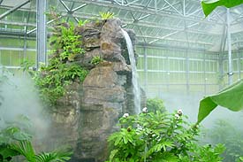 Garden1.JPG (19725 bytes)