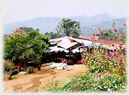 Hilltribe2.jpg (22323 bytes)