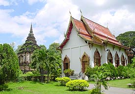 JedYod6JPG (21708 bytes)