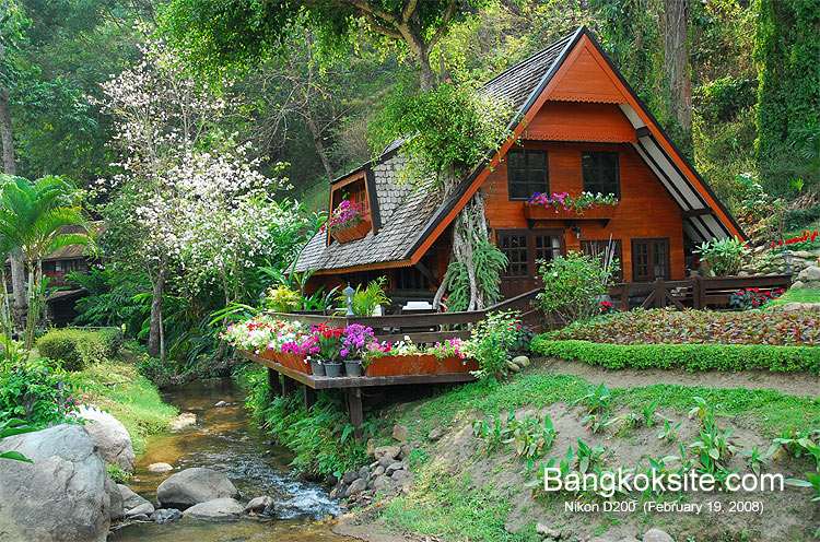 Krisdadoi102_750.jpg (227548 bytes)