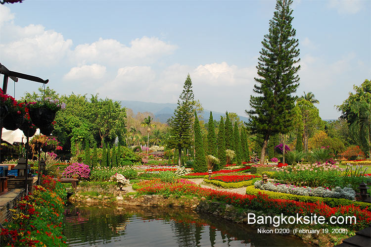 Krisdadoi104_750.jpg (148343 bytes)