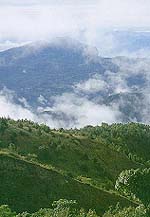 Mountain.JPG (11234 bytes)