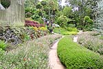 Research4.JPG (14184 bytes)