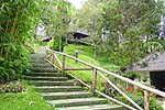 Research5.JPG (14474 bytes)