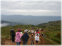 Phuchifah15.jpg (14360 bytes)