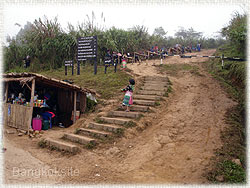 Phuchifah19.jpg (18678 bytes)