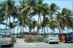 Bangsaen2_250.jpg (26198 bytes)