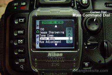 DSC05044C.jpg (26665 bytes)