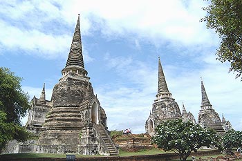 Dsc_0954M1.jpg (34522 bytes)