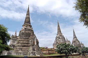 Dsc_0954M2.jpg (34425 bytes)