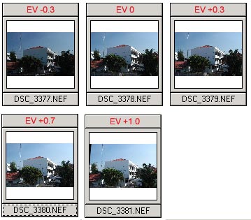 Files.jpg (26240 bytes)