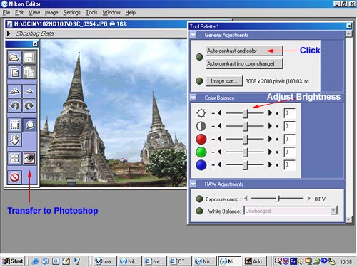 NikonEditor1.jpg (53257 bytes)
