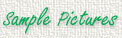 Sample.jpg (2669 bytes)