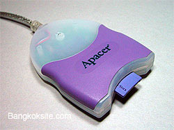 Apacer.jpg (13059 bytes)