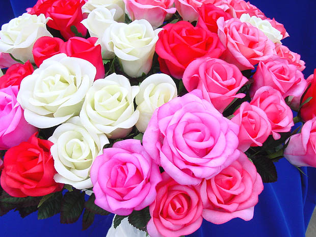 ArtificialRosesM.JPG (80882 bytes)