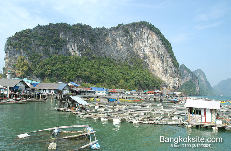 Panyee31247L_750.jpg (135446 bytes)