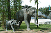 Dsc_0577.GIF (5226 bytes)
