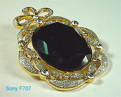 F707a.jpg (20907 bytes)