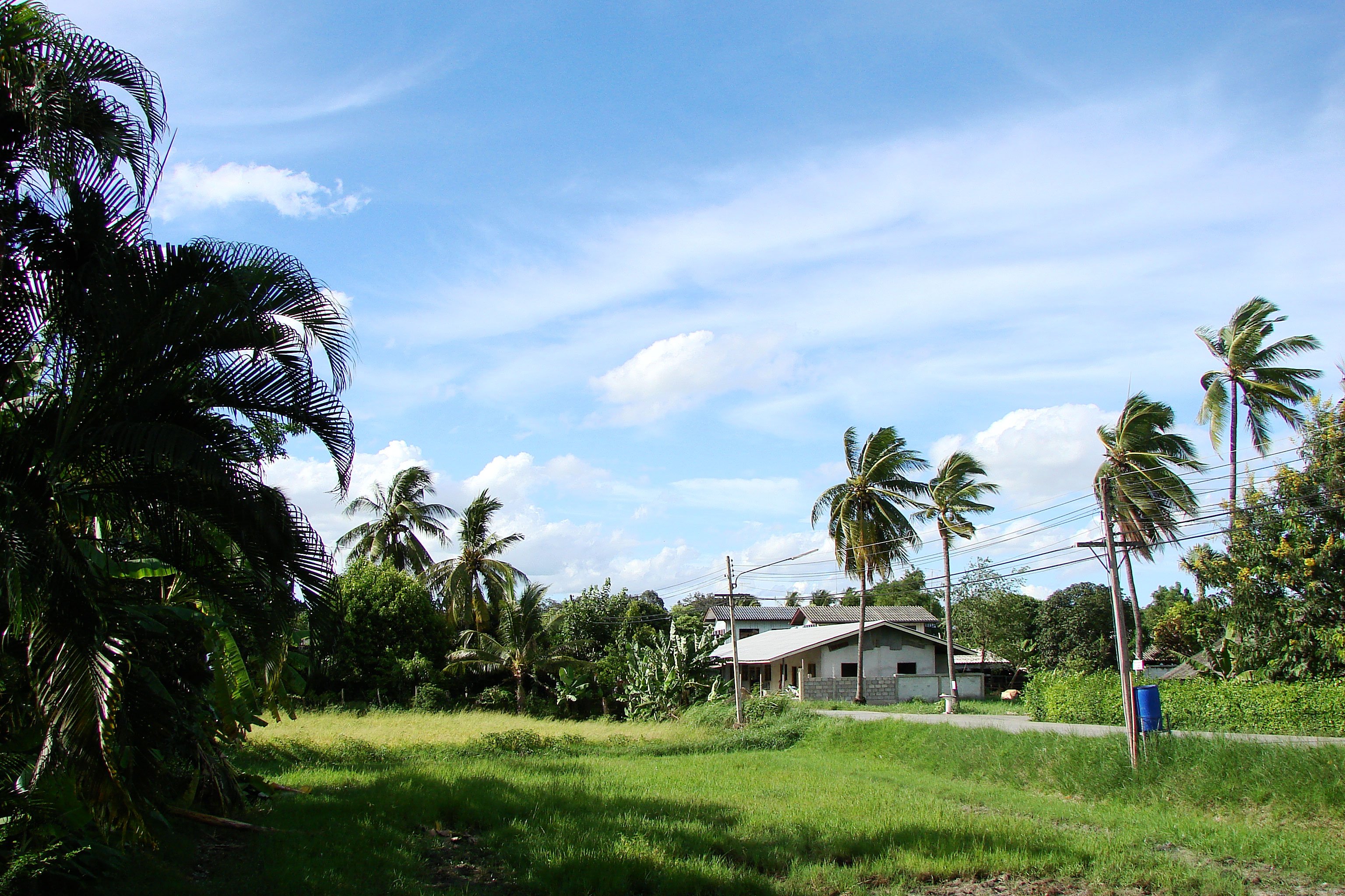 DSC00415.jpg (1594109 bytes)