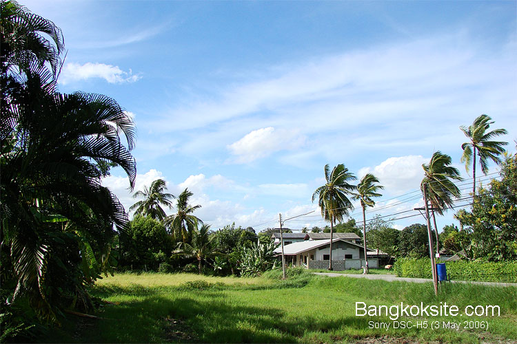 View1L.jpg (129167 bytes)