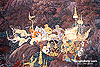 WallPainting1S.jpg (5544 bytes)
