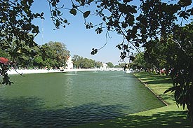 BPIView1.jpg (21227 bytes)