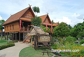 Bangsai515